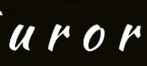 Furore Logo